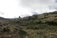 Cjp_2017-04-13_090554.jpg