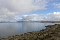 Cjp_2017-04-13_090708.jpg