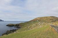 Cjp_2017-04-13_091152.jpg