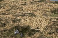 Cjp_2017-04-13_091658.jpg