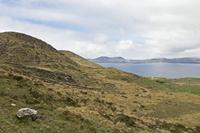 Cjp_2017-04-13_114504.jpg