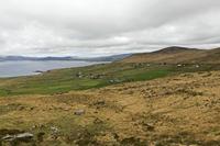 Cjp_2017-04-13_114510.jpg