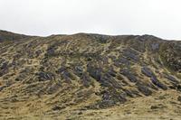 Cjp_2017-04-13_114626.jpg