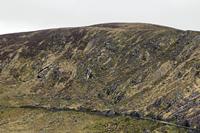 Cjp_2017-04-13_114752.jpg