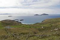 Cjp_2017-04-13_120346.jpg