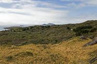 Cjp_2017-04-13_121012.jpg
