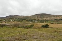 Cjp_2017-04-13_125706.jpg