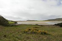 Cjp_2017-04-13_125716.jpg