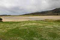 Cjp_2017-04-13_130238.jpg