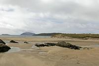 Cjp_2017-04-13_130836.jpg