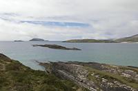 Cjp_2017-04-13_131858.jpg