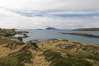 Cjp_2017-04-13_132028.jpg