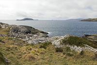Cjp_2017-04-13_133058.jpg