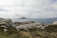 Cjp_2017-04-13_133142.jpg