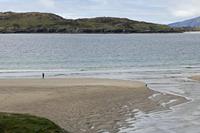 Cjp_2017-04-13_135816.jpg