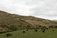 Cjp_2017-04-13_145344.jpg