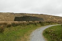 Cjp_2017-04-13_145822.jpg