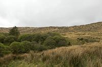 Cjp_2017-04-13_145844.jpg