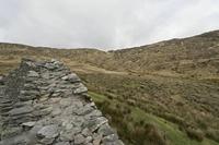 Cjp_2017-04-13_150320.jpg