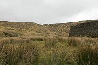 Cjp_2017-04-13_151038.jpg
