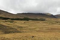 Cjp_2017-04-13_153114.jpg
