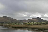 Cjp_2017-04-13_160546.jpg