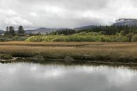 Cjp_2017-04-13_160656.jpg