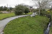 Cjp_2017-04-13_161246.jpg