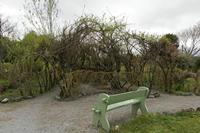 Cjp_2017-04-13_161304.jpg