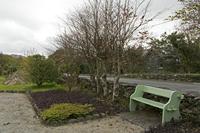 Cjp_2017-04-13_161404.jpg