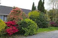 Cjp_2017-04-13_161610.jpg