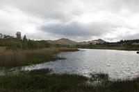 Cjp_2017-04-13_162046.jpg