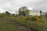 Cjp_2017-04-13_162110.jpg