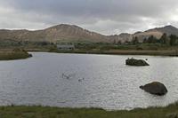 Cjp_2017-04-13_162124.jpg