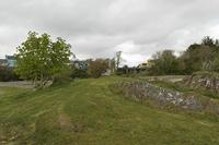 /Cjp_2017-04-13_162224.jpg