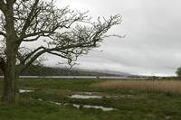 Cjp_2017-04-14_074552.jpg
