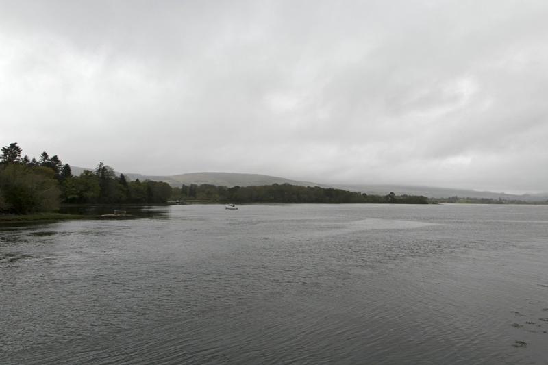Cjp_2017-04-14_075752.jpg