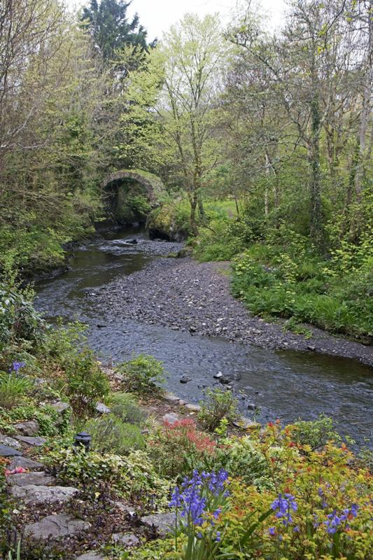 Cjp_2017-04-14_081554.jpg