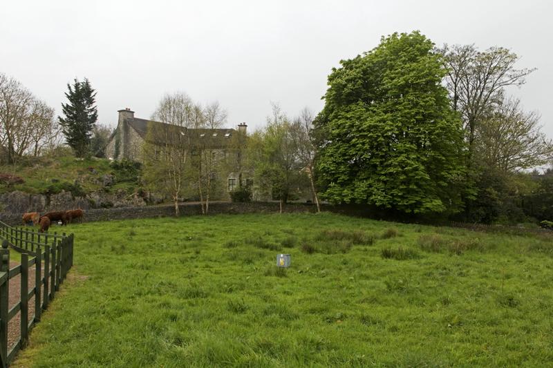 Cjp_2017-04-14_081834.jpg