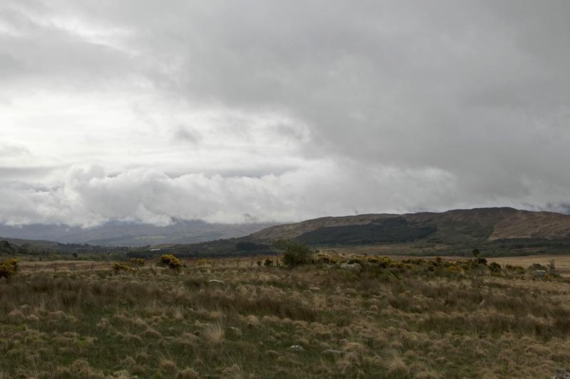 Cjp_2017-04-14_084524.jpg