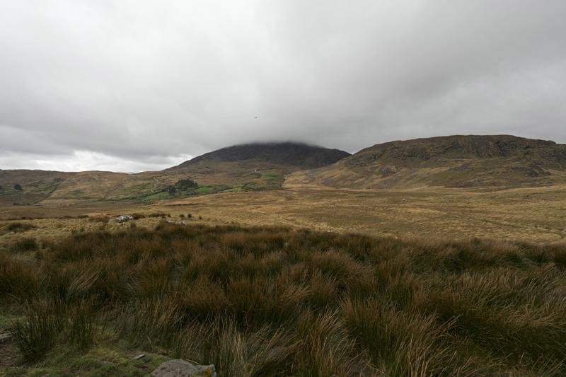 Cjp_2017-04-14_084850.jpg