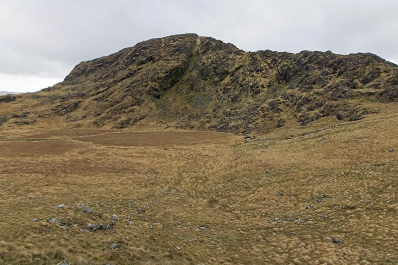 Cjp_2017-04-14_085454.jpg
