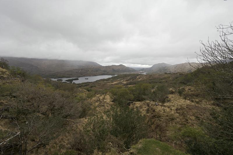 Cjp_2017-04-14_091030.jpg