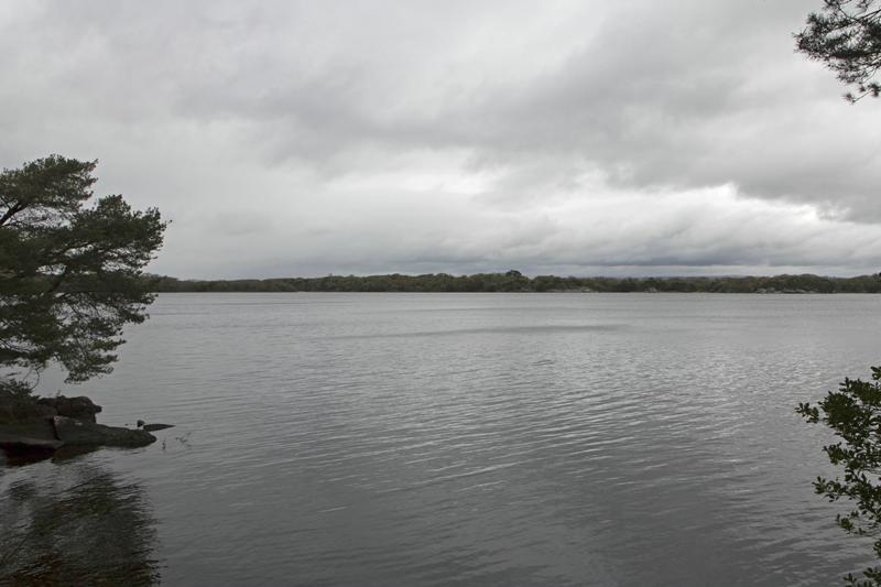 Cjp_2017-04-14_094902.jpg