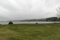 Cjp_2017-04-14_080030.jpg