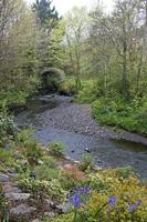 Cjp_2017-04-14_081554.jpg