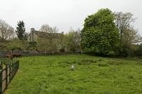 Cjp_2017-04-14_081834.jpg