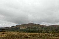 Cjp_2017-04-14_084508.jpg