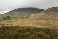 Cjp_2017-04-14_084842.jpg