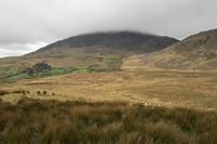 Cjp_2017-04-14_084900.jpg